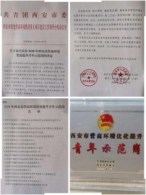 我区三家单位荣获“西安市营商环境优化提升青年示范岗”称号